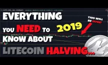 IMPORTANT: Litecoin Halving Coming - Everything you NEED to Know... Bull Run Coming?